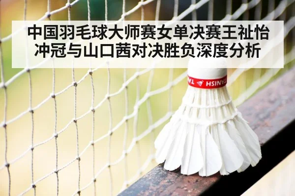 badminton shuttlecock net close up